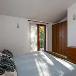 Pet Friendly In